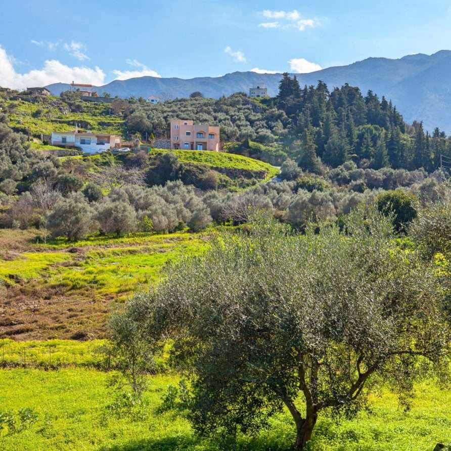 Cretan Residence| HotelPraxis