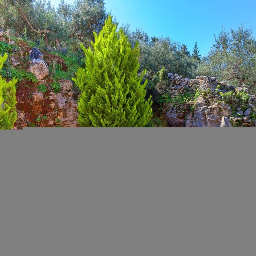 Cretan Residence| HotelPraxis