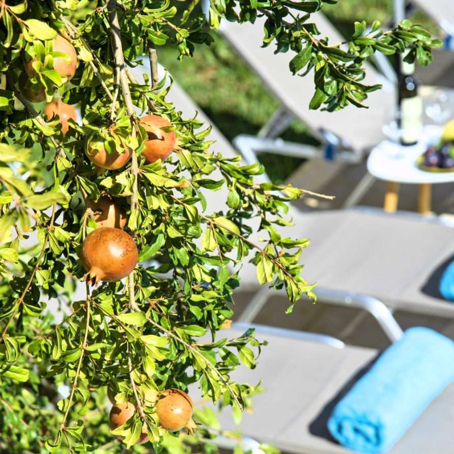 Grand View Villa | HotelPraxis