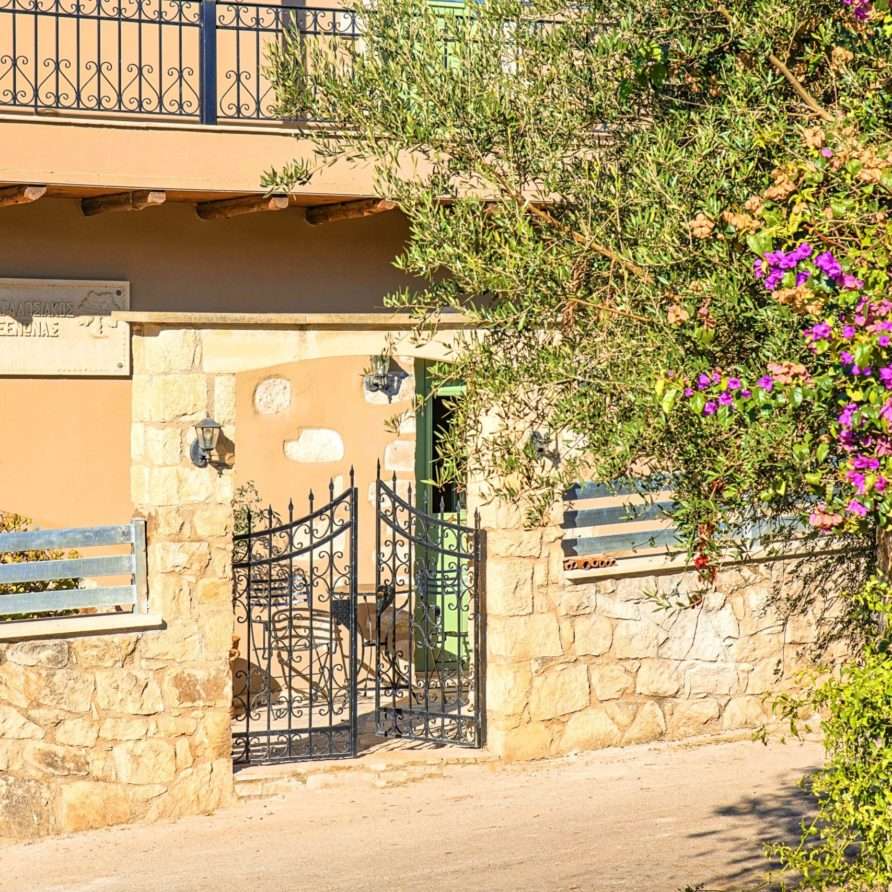 Terra Vamos Guesthouse | HotelPraxis