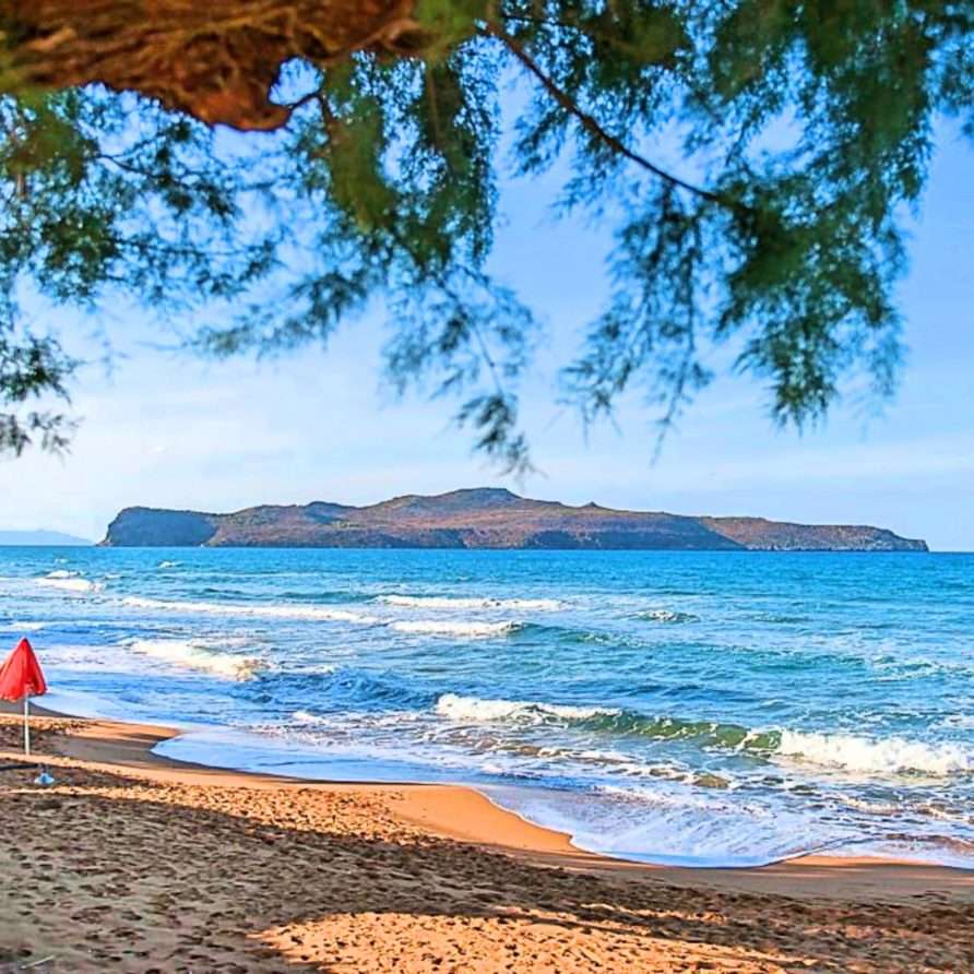 Terra Vamos Guesthouse | HotelPraxis