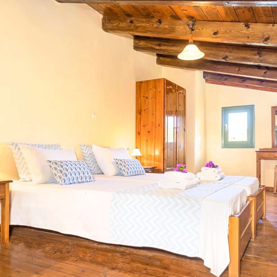 Terra Vamos Guesthouse | HotelPraxis