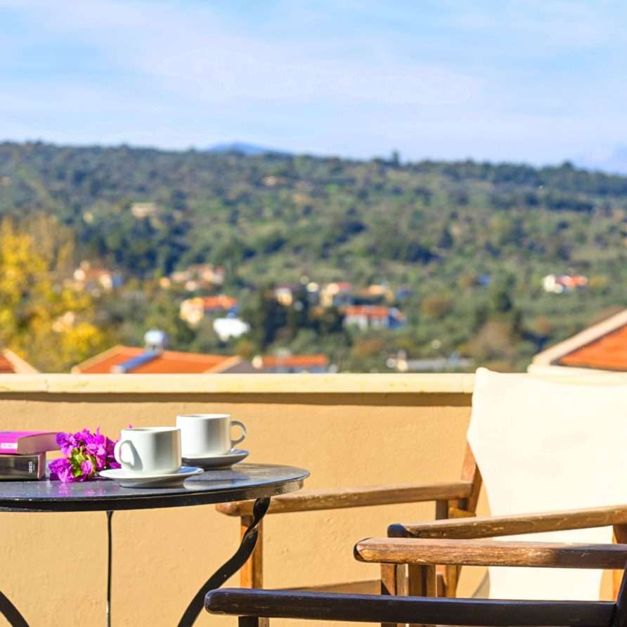 Terra Vamos Guesthouse | HotelPraxis